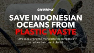 Save Indonesian oceans from garbages start from Rp 60.000