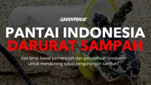 Selamatkan pantai Indonesia dari sampah mulai dari Rp 15.000