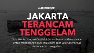 Cegah Jakarta tenggelam mulai dari Rp 15.000