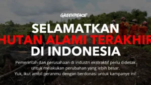 Selamatkan hutan alami terakhir Indonesia mulai dari Rp 15.000