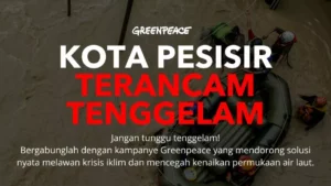 Cegah kota pesisir tenggelam mulai dari Rp 15.000