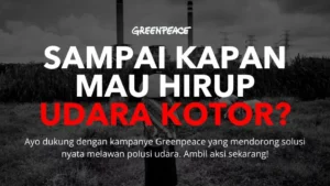 Bersama lawan polusi udara mulai dari Rp 15.000